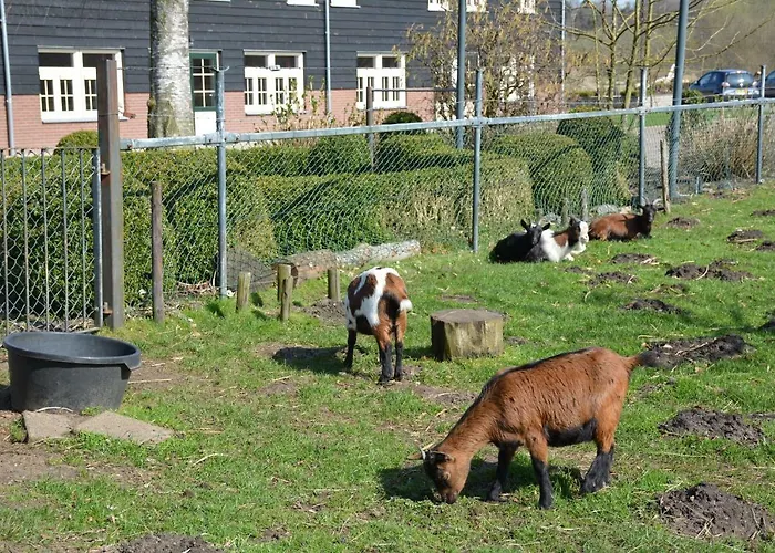De Rulse Hoeve
